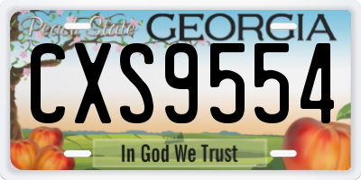 GA license plate CXS9554