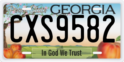 GA license plate CXS9582