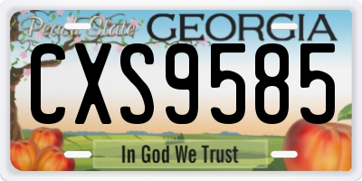 GA license plate CXS9585