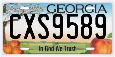 GA license plate CXS9589