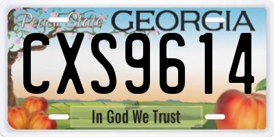 GA license plate CXS9614