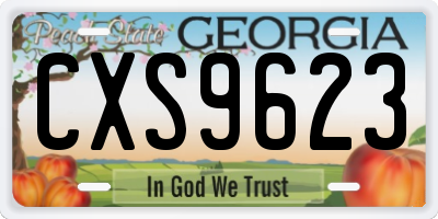 GA license plate CXS9623