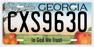 GA license plate CXS9630