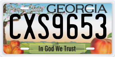 GA license plate CXS9653