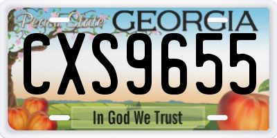 GA license plate CXS9655