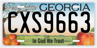 GA license plate CXS9663