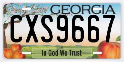 GA license plate CXS9667