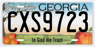 GA license plate CXS9723