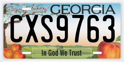 GA license plate CXS9763