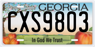 GA license plate CXS9803
