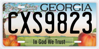 GA license plate CXS9823