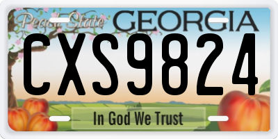 GA license plate CXS9824