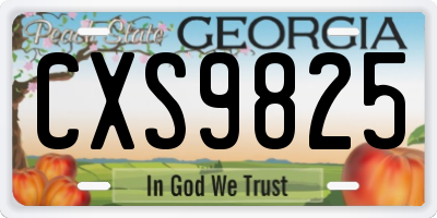 GA license plate CXS9825