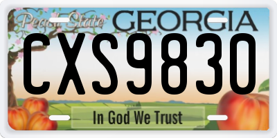 GA license plate CXS9830