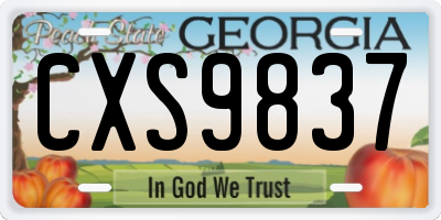 GA license plate CXS9837