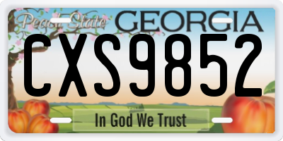 GA license plate CXS9852