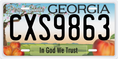GA license plate CXS9863