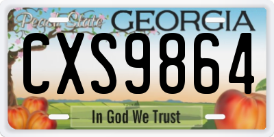 GA license plate CXS9864