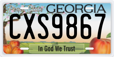 GA license plate CXS9867