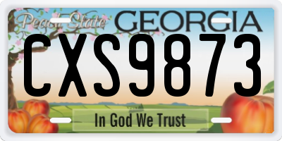 GA license plate CXS9873