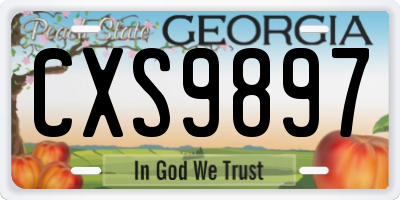 GA license plate CXS9897