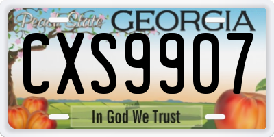 GA license plate CXS9907