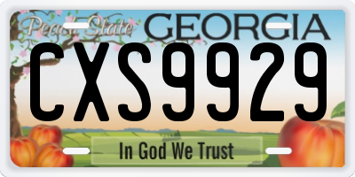 GA license plate CXS9929