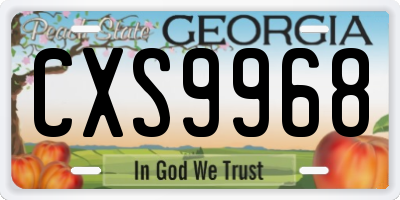 GA license plate CXS9968