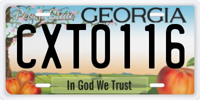 GA license plate CXT0116