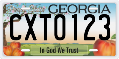 GA license plate CXT0123