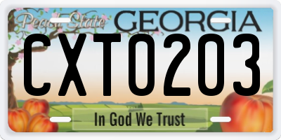 GA license plate CXT0203