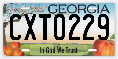 GA license plate CXT0229