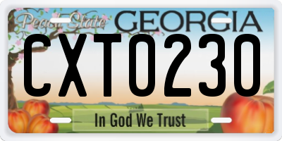 GA license plate CXT0230
