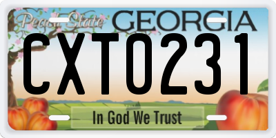 GA license plate CXT0231