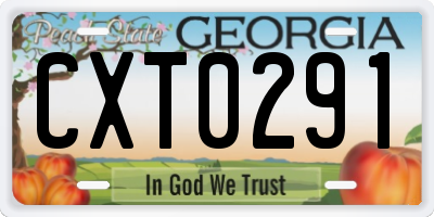GA license plate CXT0291