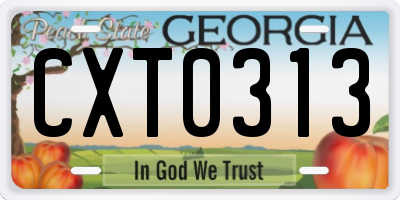 GA license plate CXT0313