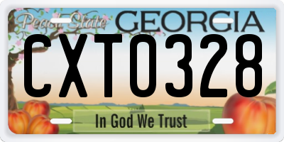 GA license plate CXT0328