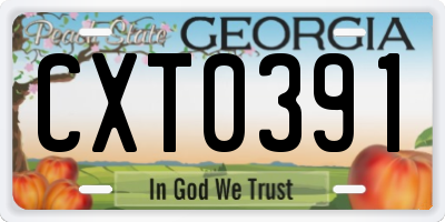 GA license plate CXT0391