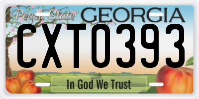 GA license plate CXT0393