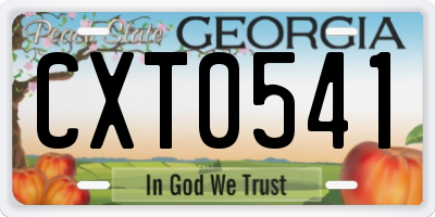 GA license plate CXT0541