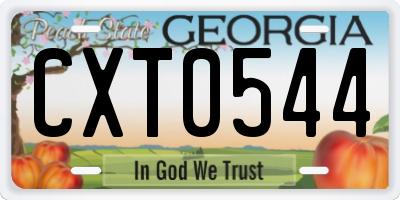 GA license plate CXT0544
