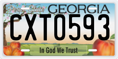 GA license plate CXT0593