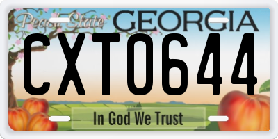 GA license plate CXT0644