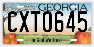 GA license plate CXT0645