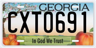 GA license plate CXT0691