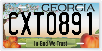 GA license plate CXT0891