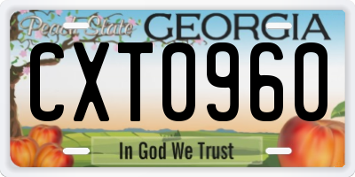 GA license plate CXT0960