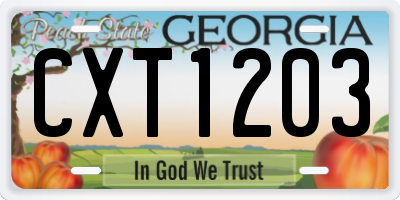 GA license plate CXT1203
