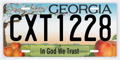 GA license plate CXT1228