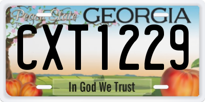 GA license plate CXT1229